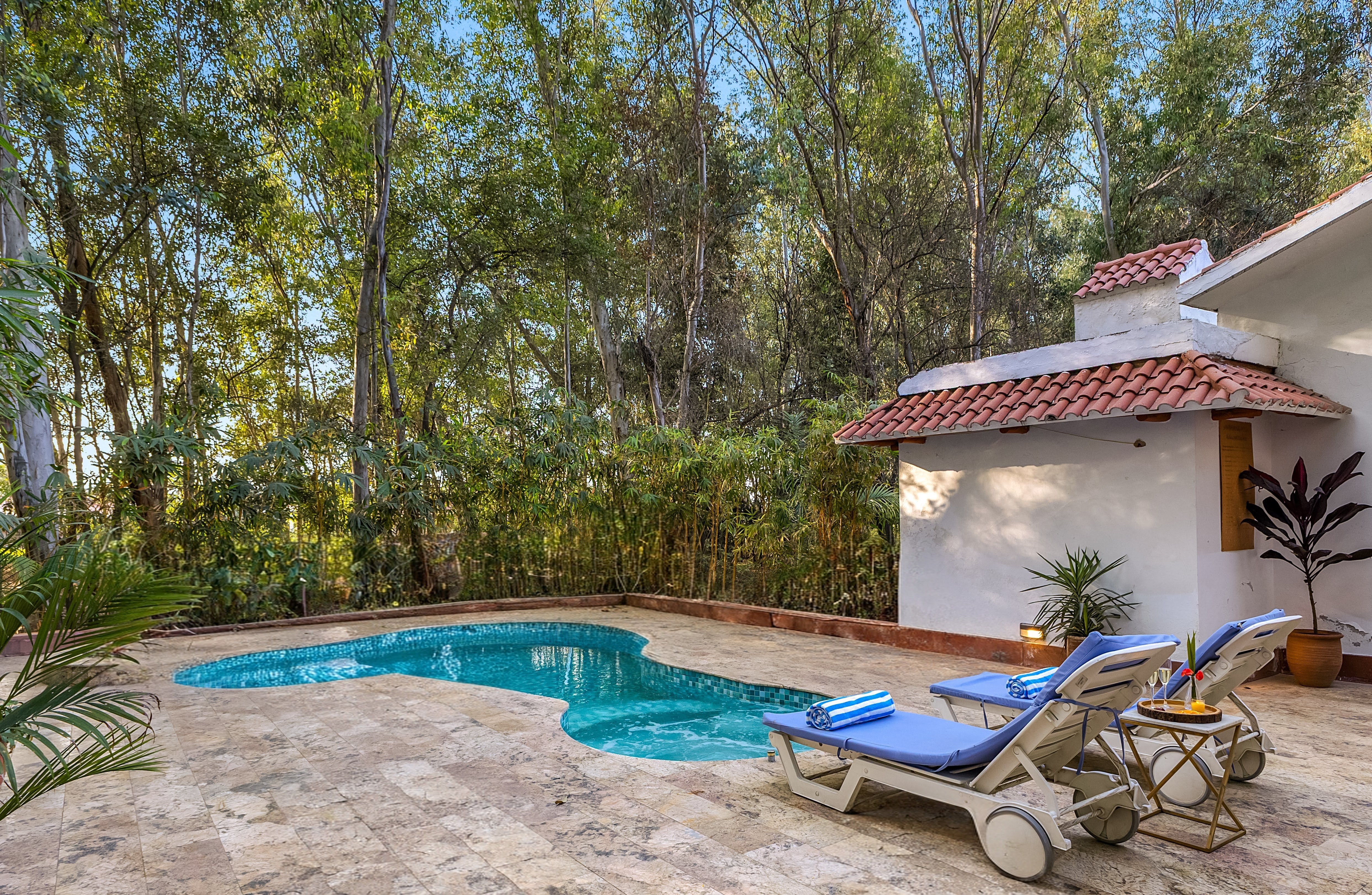 Aravalli Reserve The Lotus | Pet-friendly 3-BHK Villa with Private Pool, Lotus Pond, Gazebo & Jacuzzi — photo 23