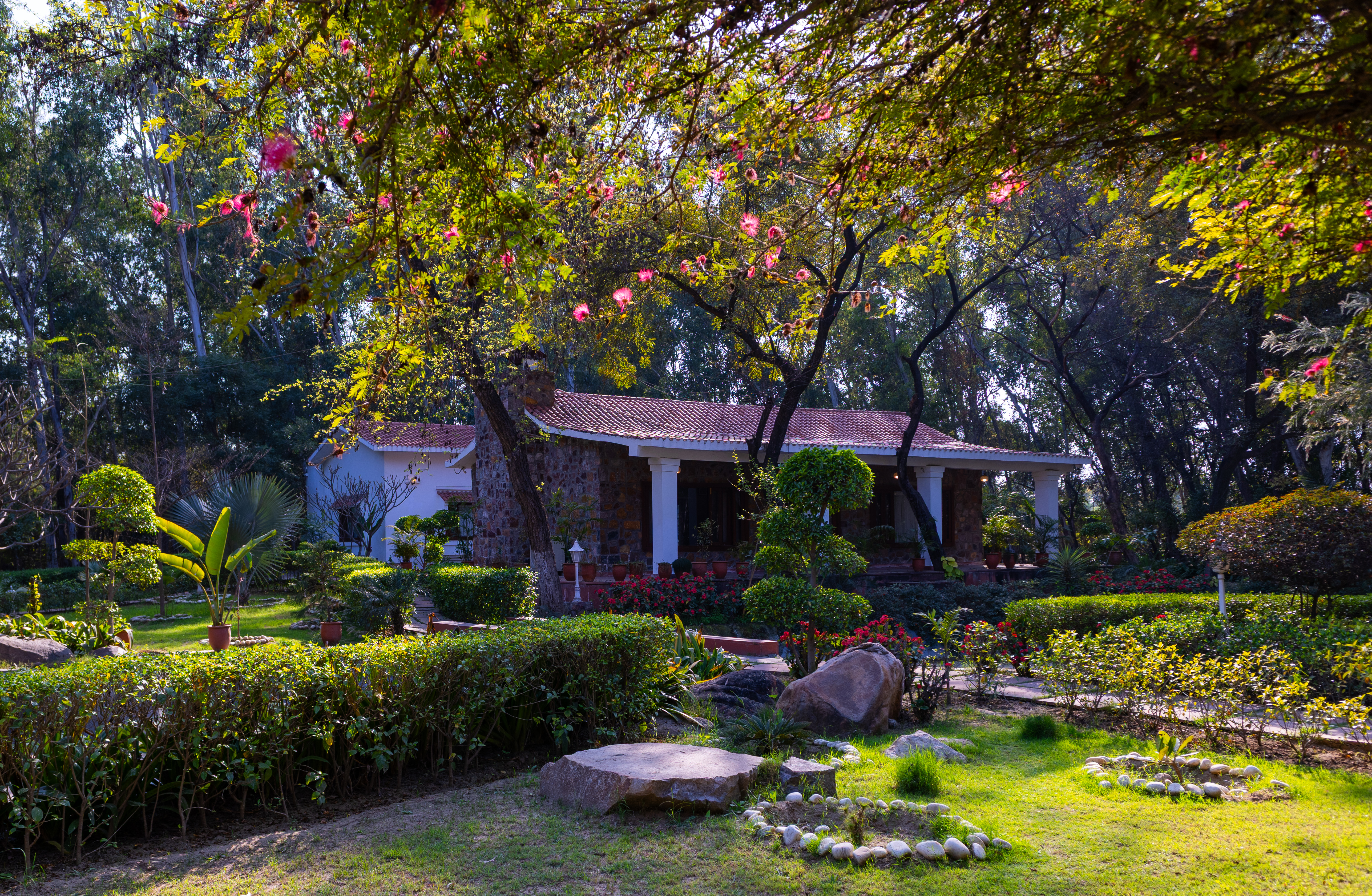 Aravalli Reserve The Lotus | Pet-friendly 3-BHK Villa with Private Pool, Lotus Pond, Gazebo & Jacuzzi — photo 5