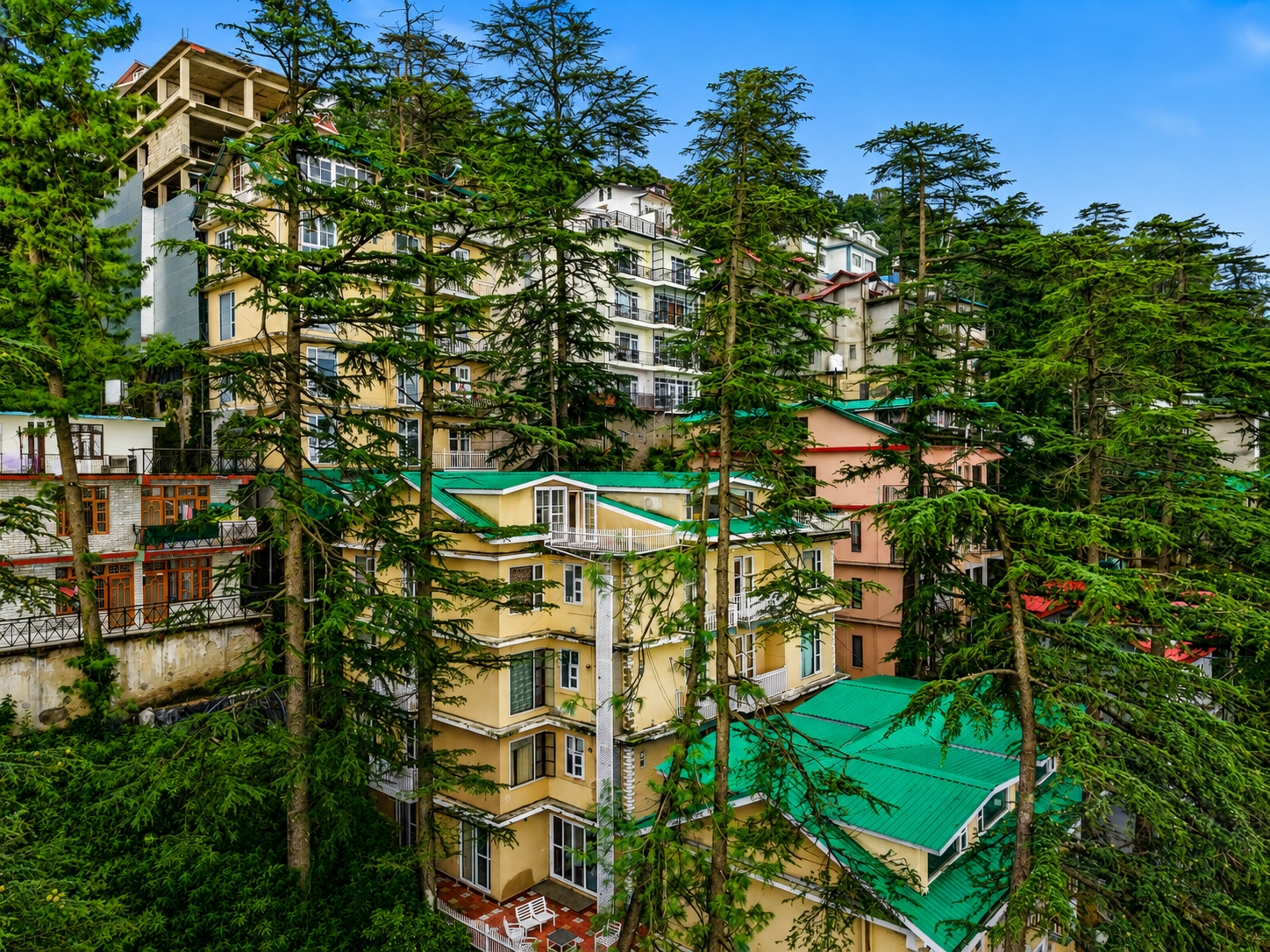 Kail Holiday In Homestay | Pet-Friendly 1 BHK Hill-View Apartment with Private Balcony, Reception, & Indoor Games — photo 26