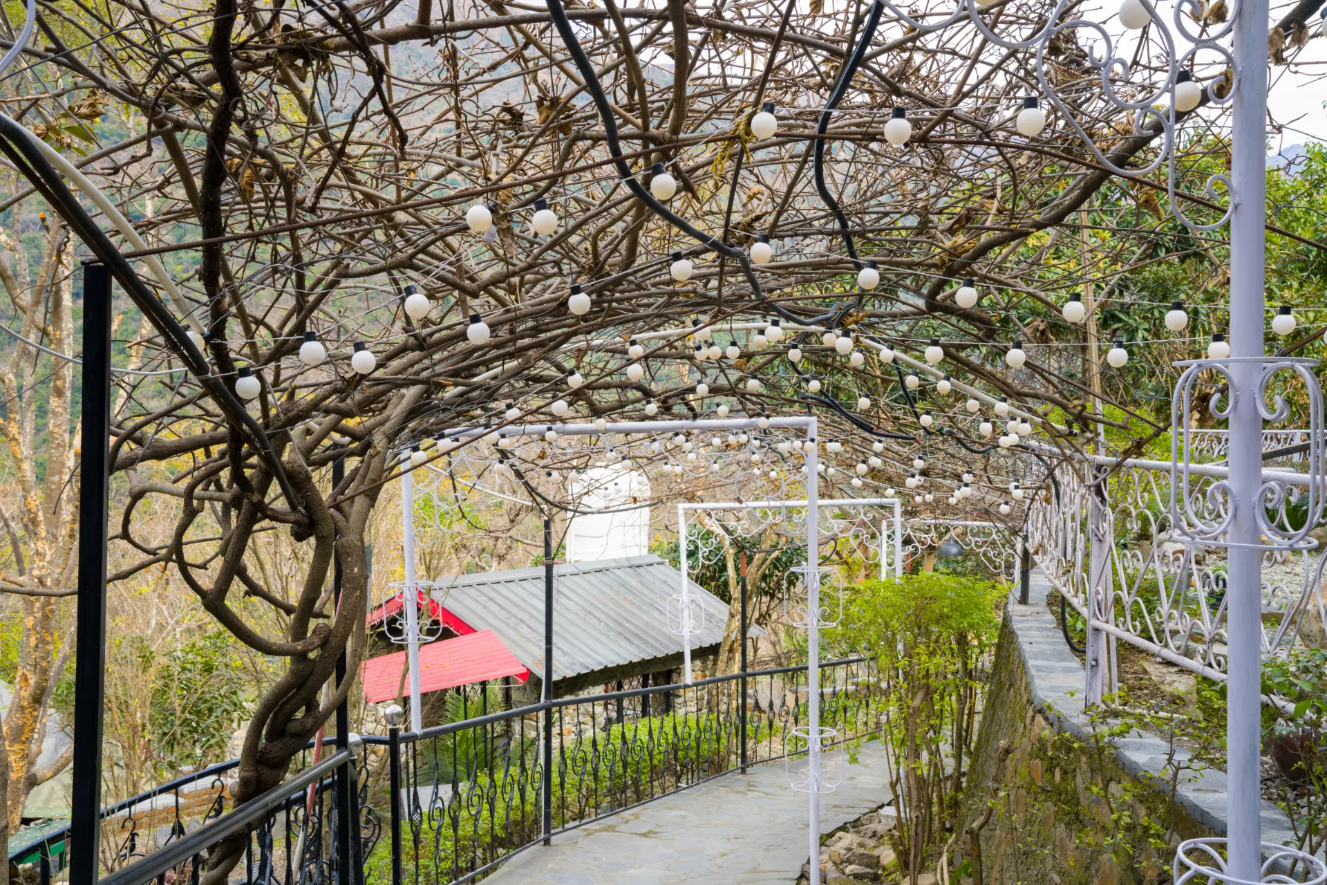 Zephyr Timberhill | Tranquil Hilltop Escape with Pool, Tea House & Dining — photo 12