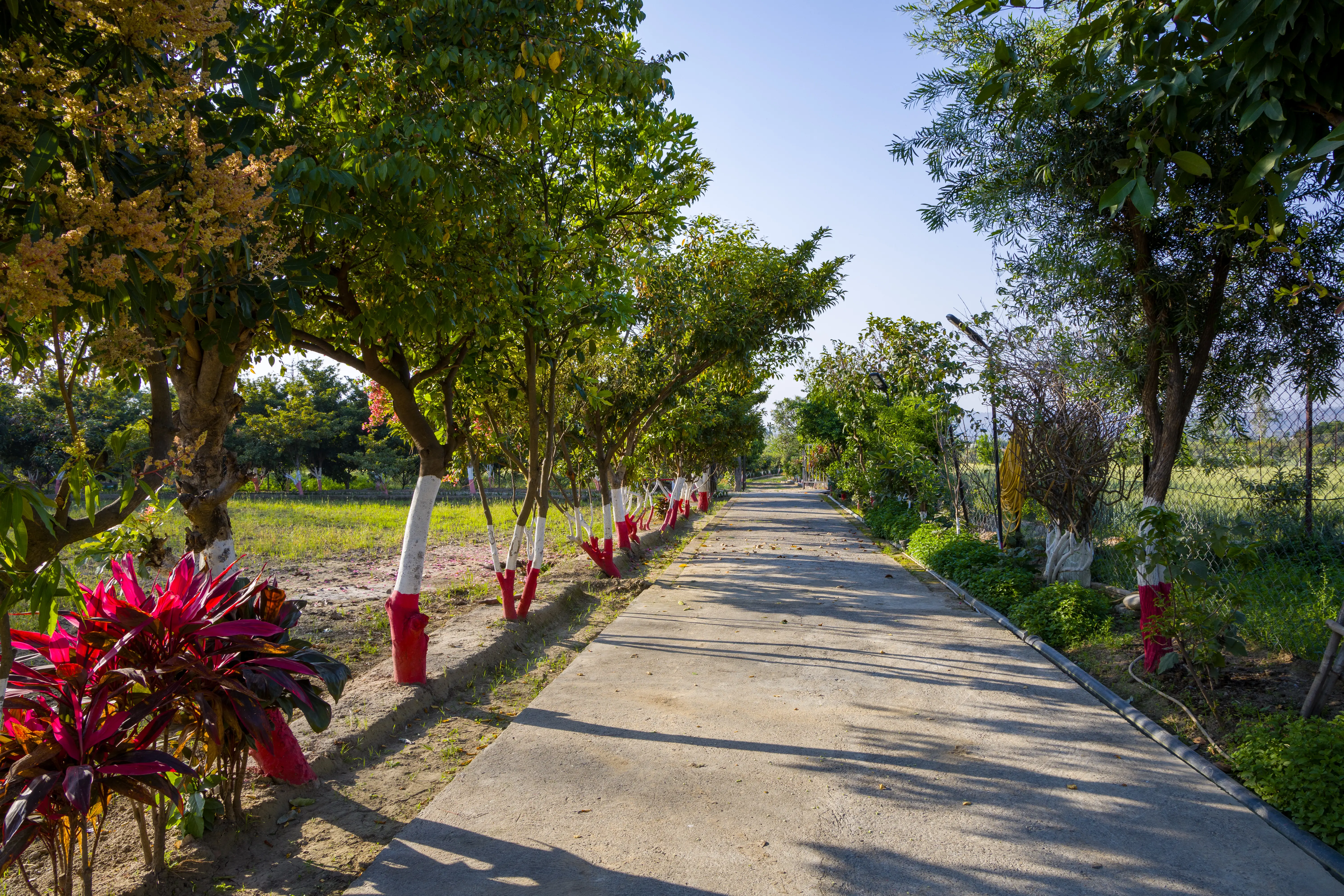 Farm Naturelle | Serene 3-BHK Farmhouse With Near Jim Corbett With Pvt Swimming Pool, Garden, Terrace & Orchards — photo 17