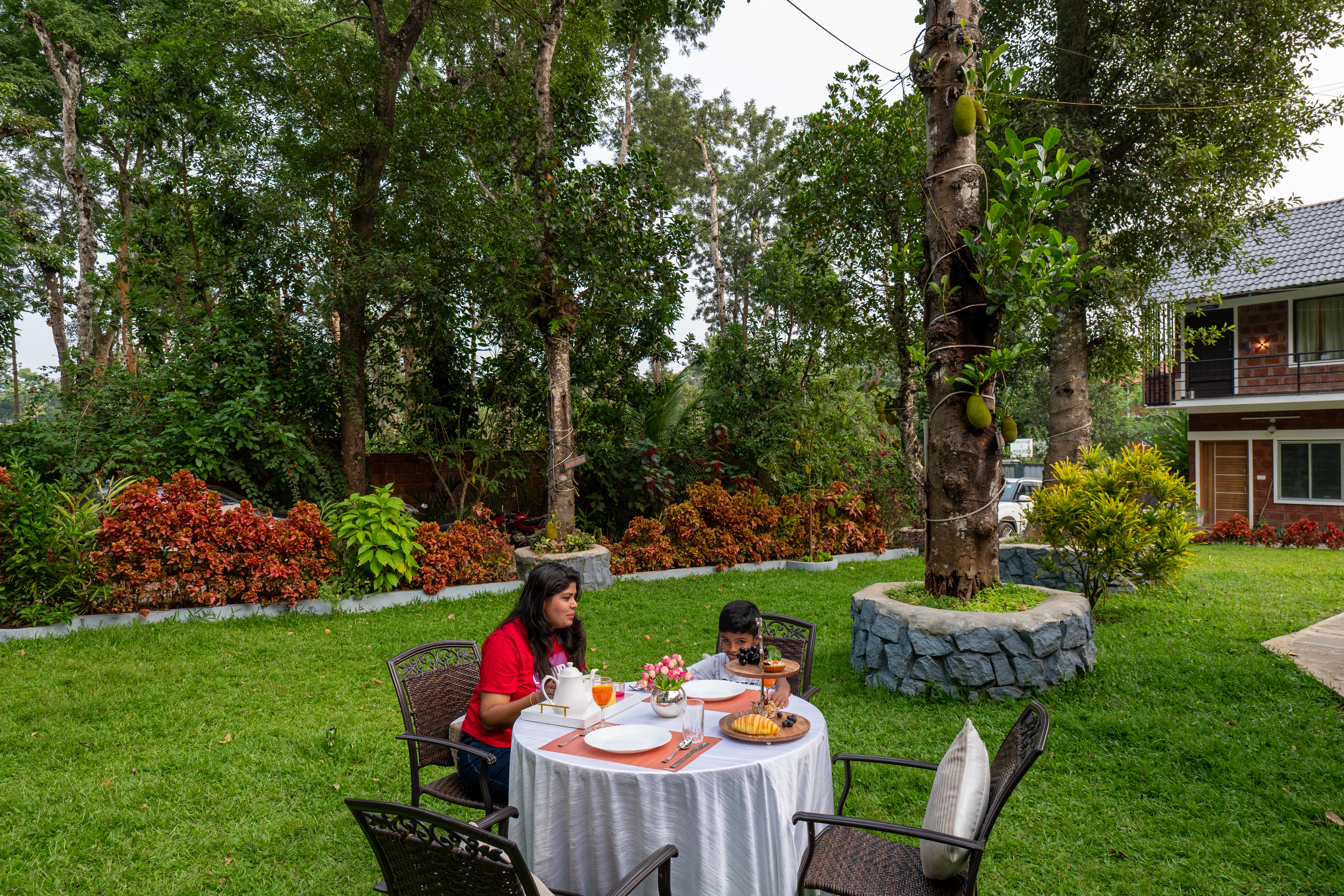 Avocado Cottages Cozy Room | Pet-friendly Garden Suite Amid Avocado & Coffee Estate — photo 2