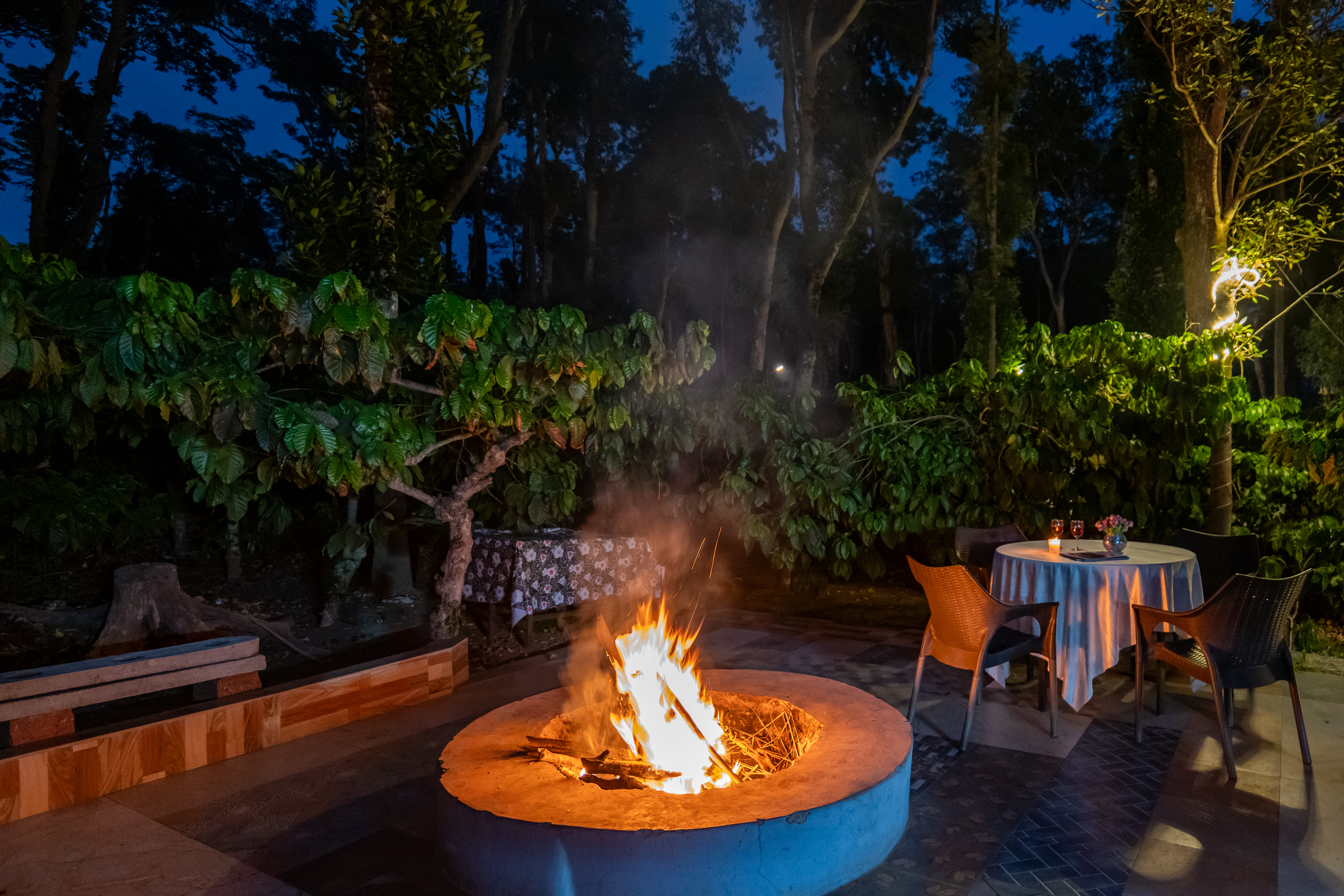 Avocado Cottages Cozy Room | Pet-friendly Garden Suite Amid Avocado & Coffee Estate — photo 6