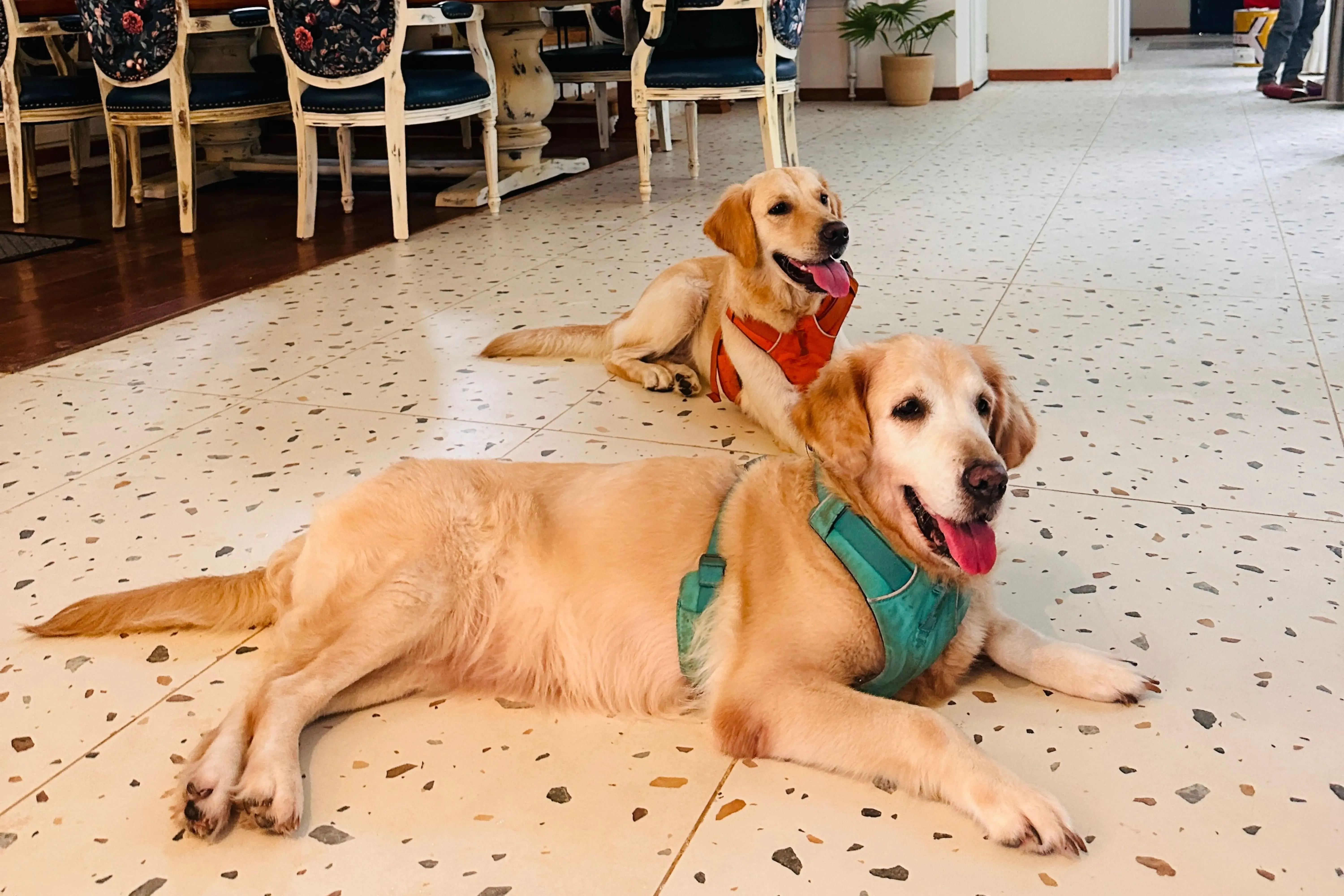 Vacasa | 5-BHK | Pvt Pool & Lift | Pet-friendly — photo 4