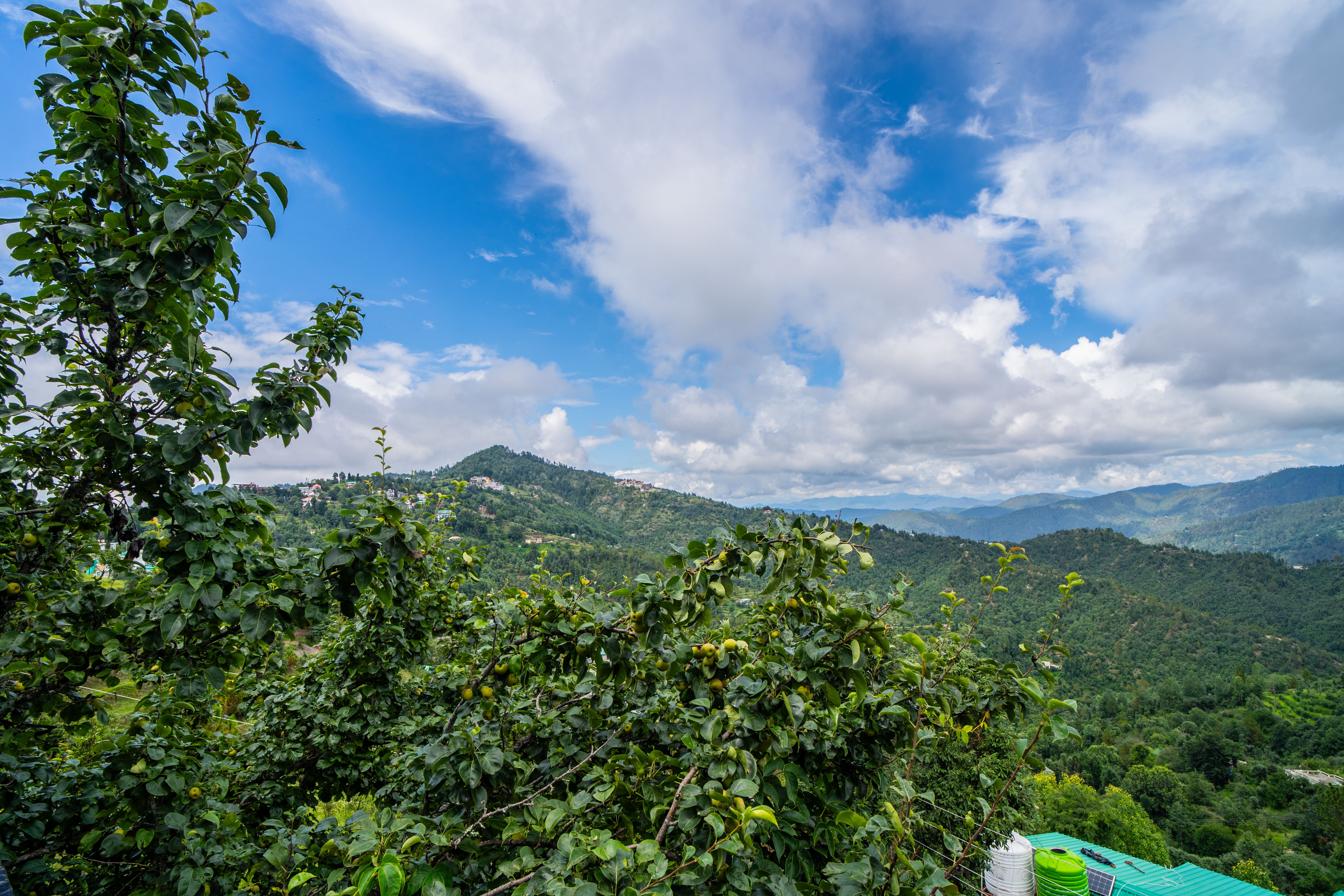 Trio’s Top | 1 Pet-friendly Room with Valley views, Garden & Balcony — photo 6
