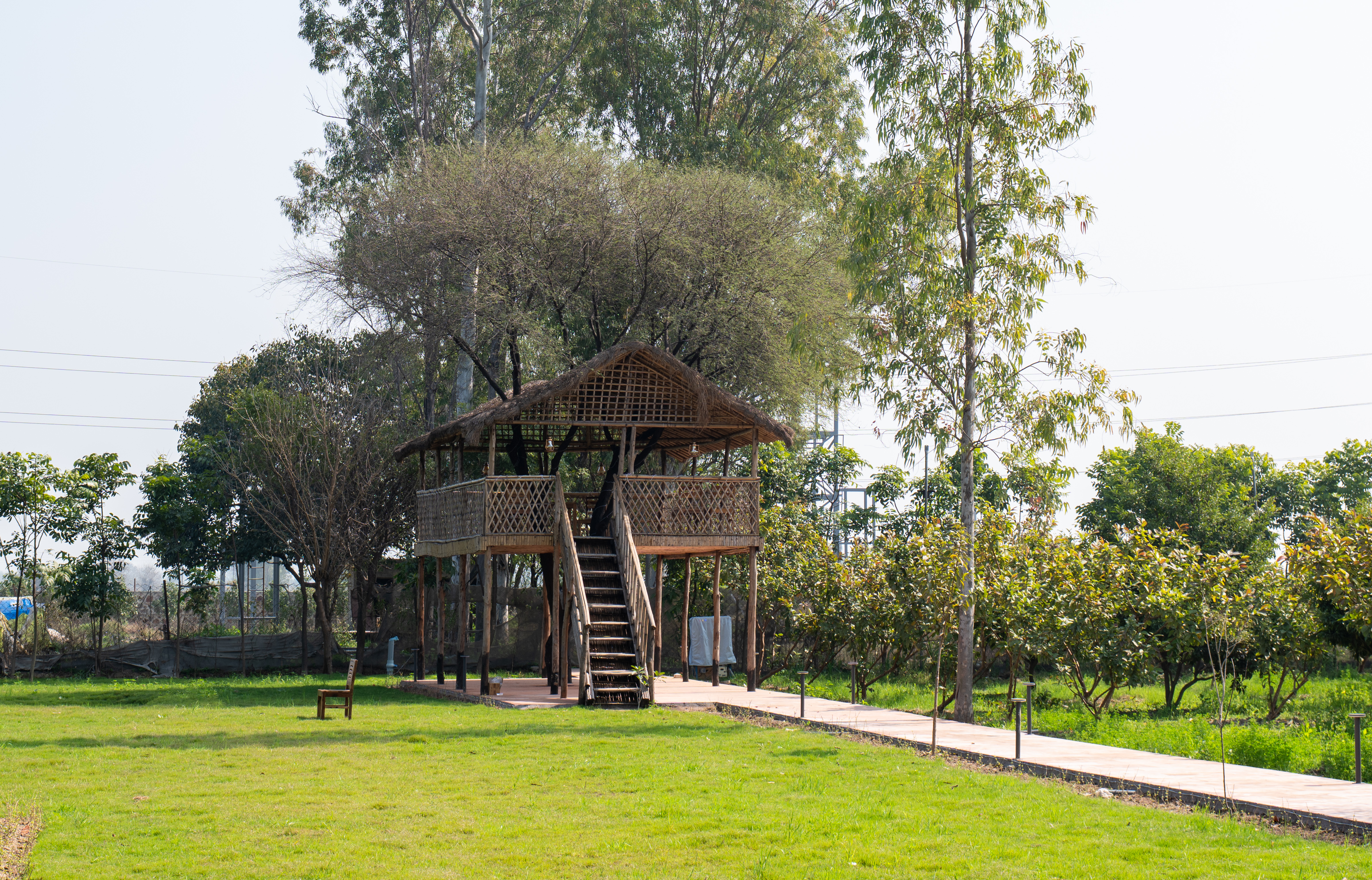 Aanandam Villas and Resort | Pet-friendly Executive Suite With Shared Pool, Restro & Garden — photo 18