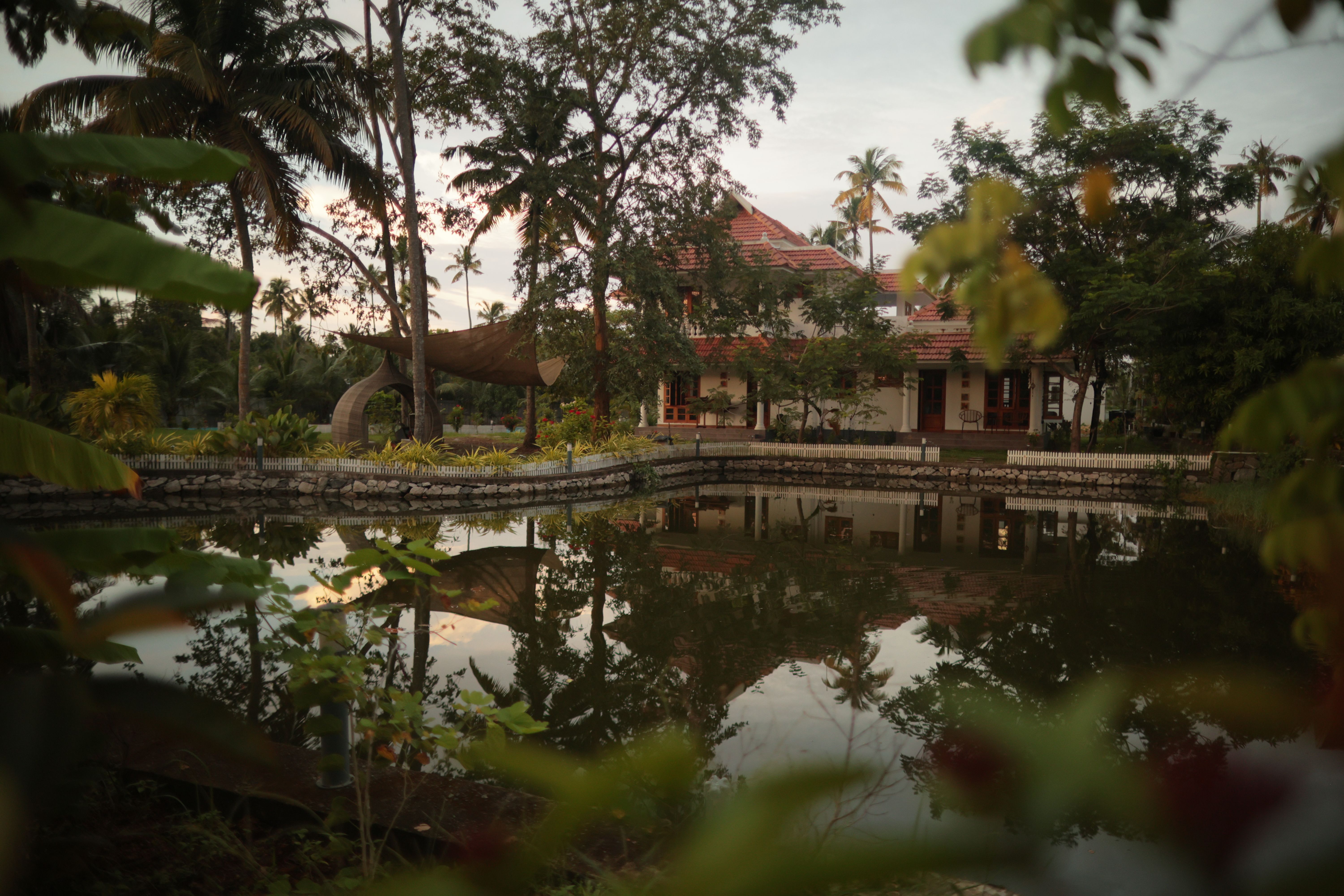 Palliath House | 1-Pond-facing Room with Shared Lawn, Patio and Ponds | Proximity to the Beach, Ocean, and Estuary — photo 20