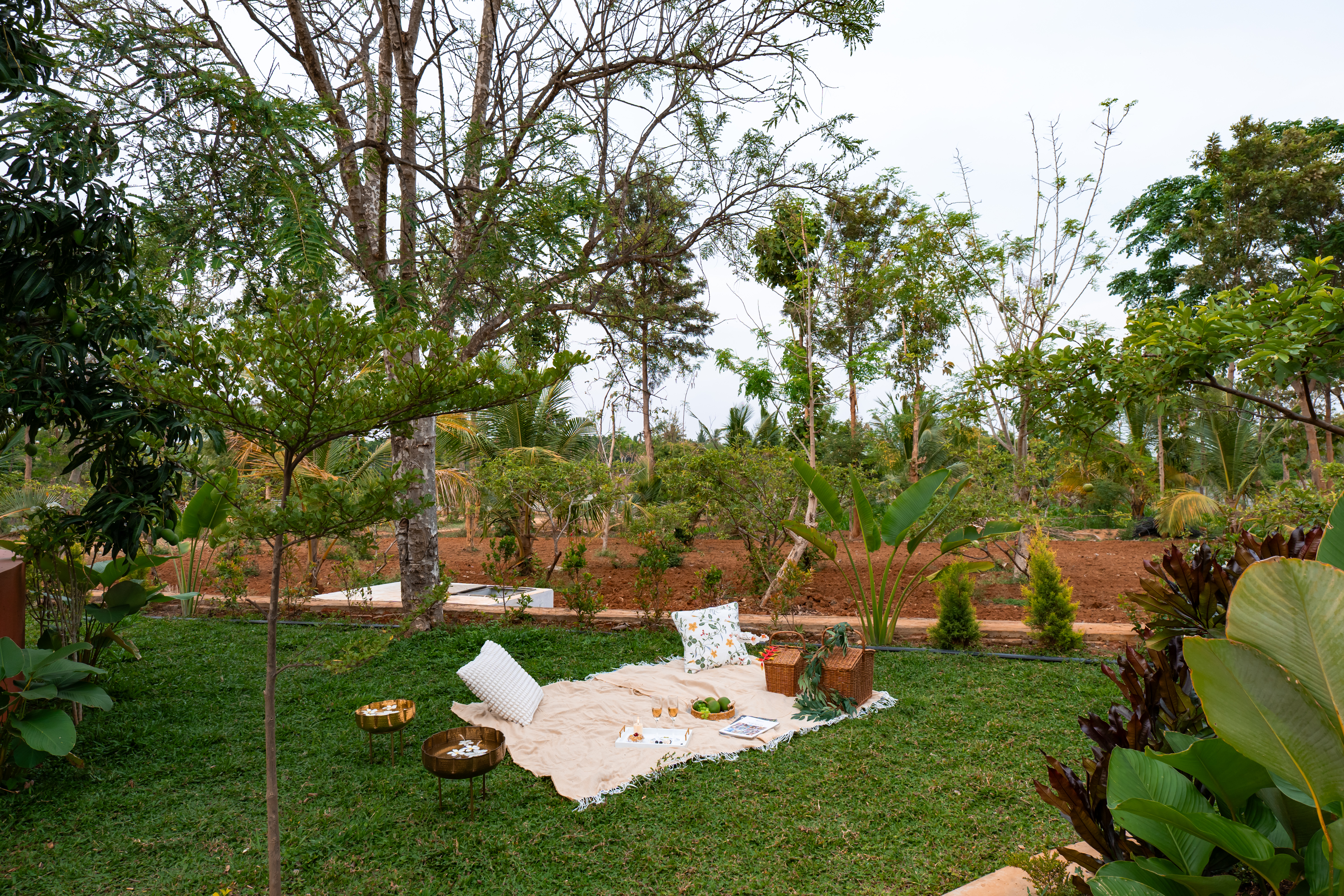 Tanira Farms Moonrise | Contemporary Pet- friendly Igloo Cottage with Pool, Bar and Garden — photo 2