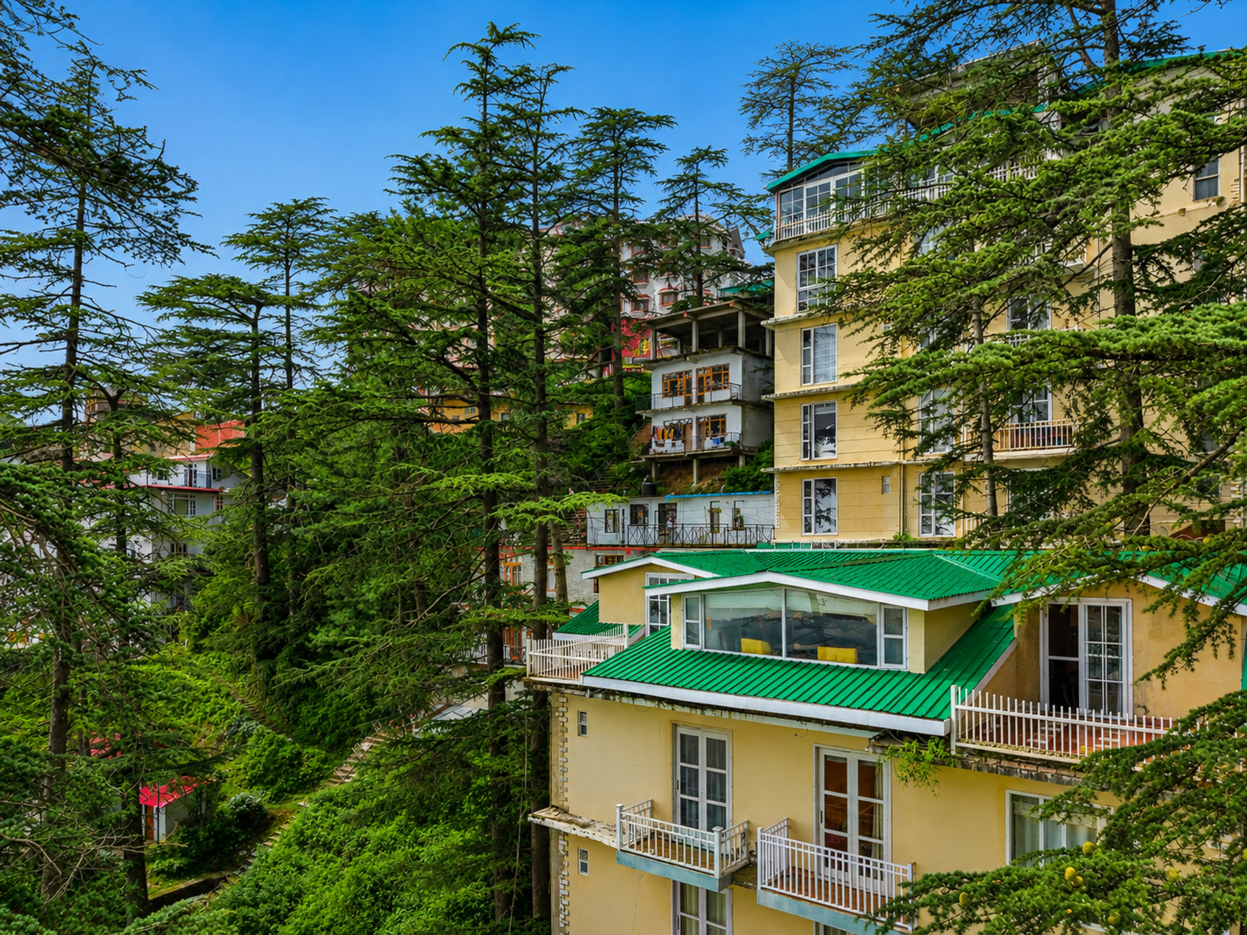 Juniper Holiday In Homestay | 3 BHK Pet-Friendly Valley-View Apartment with Private Balcony & Reception — photo 22