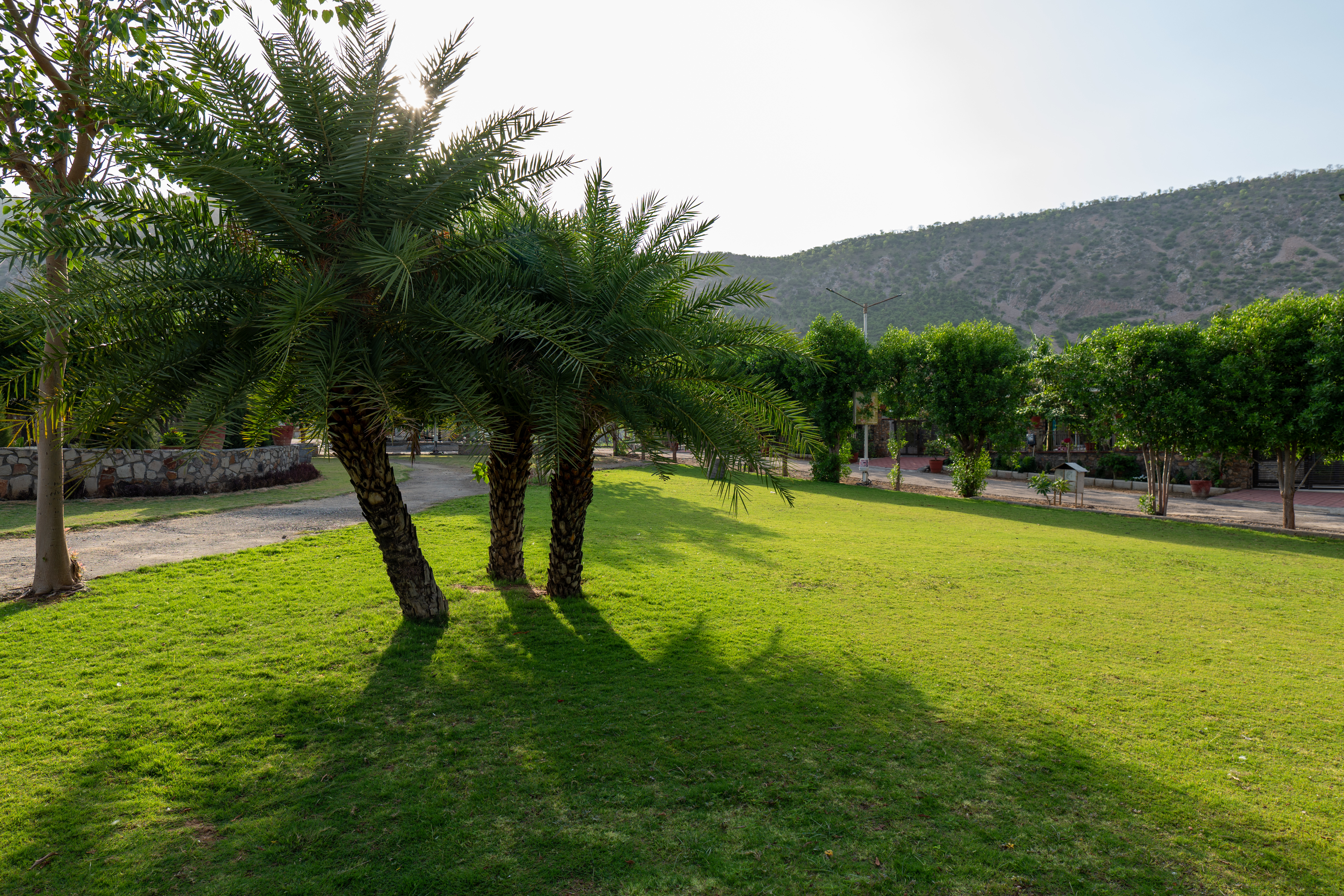 MS Valley Groves | 2-BHK Villa with Private Pool, Lawn & Common Garden in a Resort-Style Gated Community | Pet-friendly — photo 29