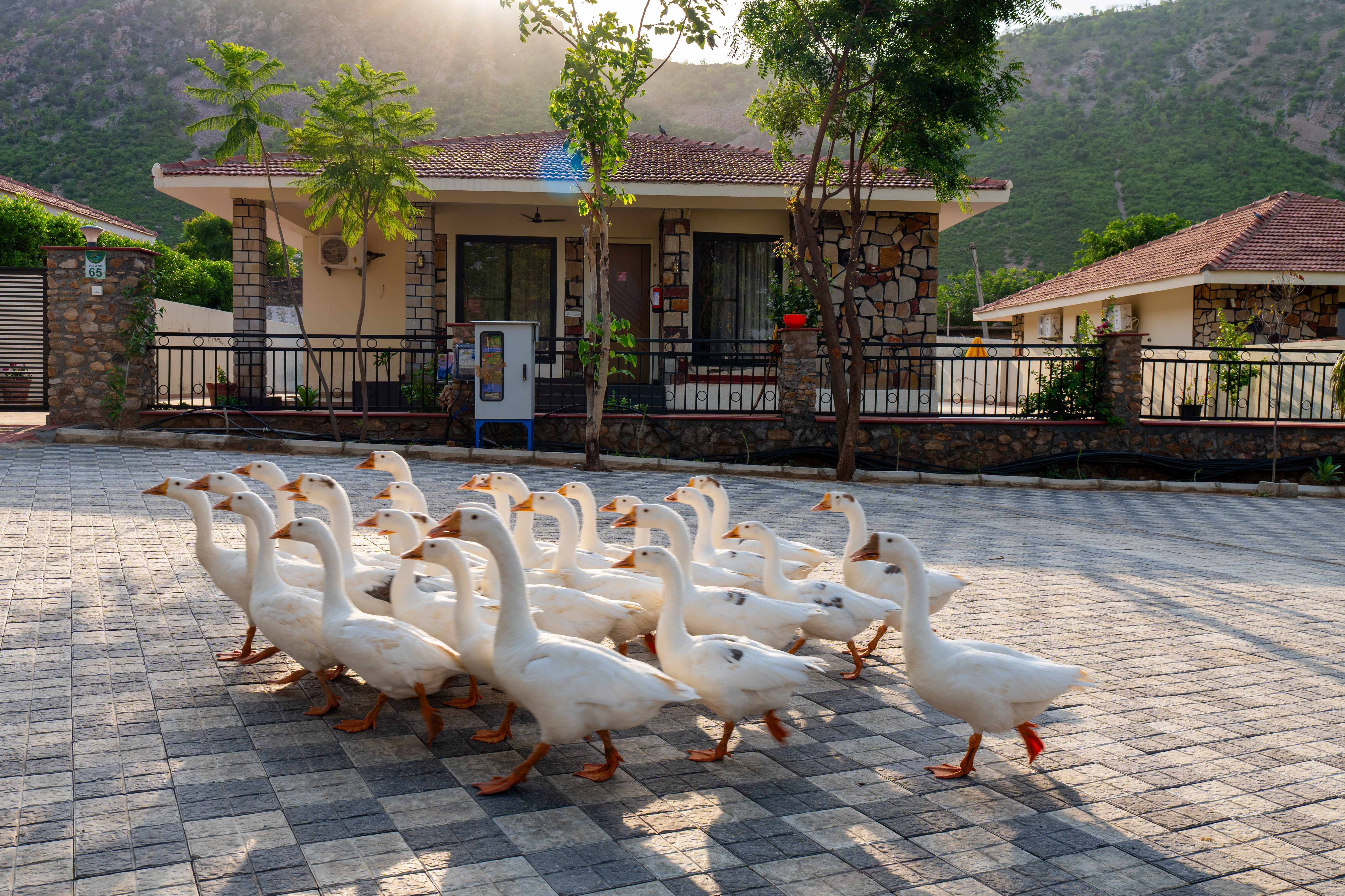 MS Valley Groves | 2-BHK Villa with Private Pool, Lawn & Common Garden in a Resort-Style Gated Community | Pet-friendly — photo 25