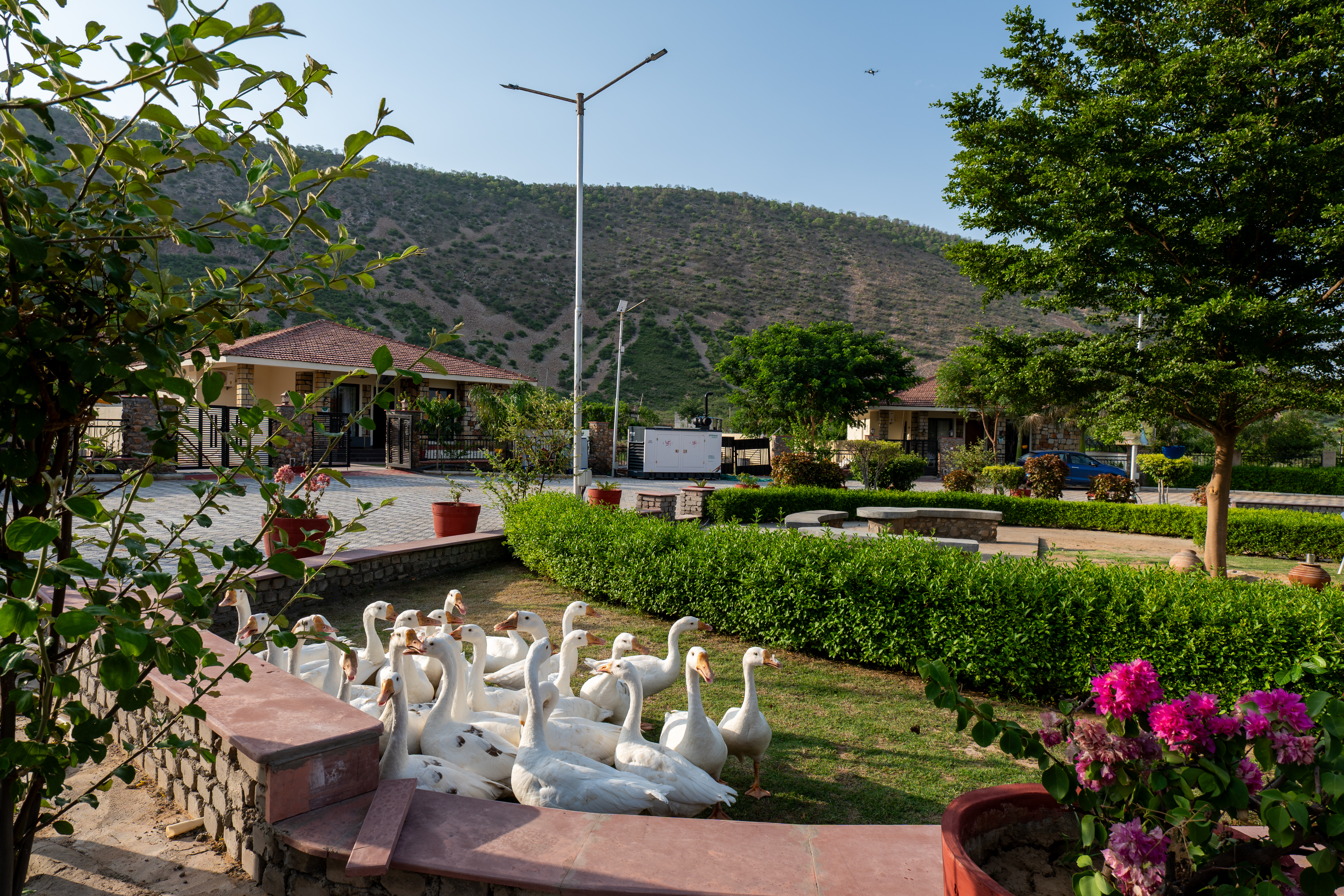 MS Valley Groves | 2-BHK Villa with Private Pool, Lawn & Common Garden in a Resort-Style Gated Community | Pet-friendly — photo 26