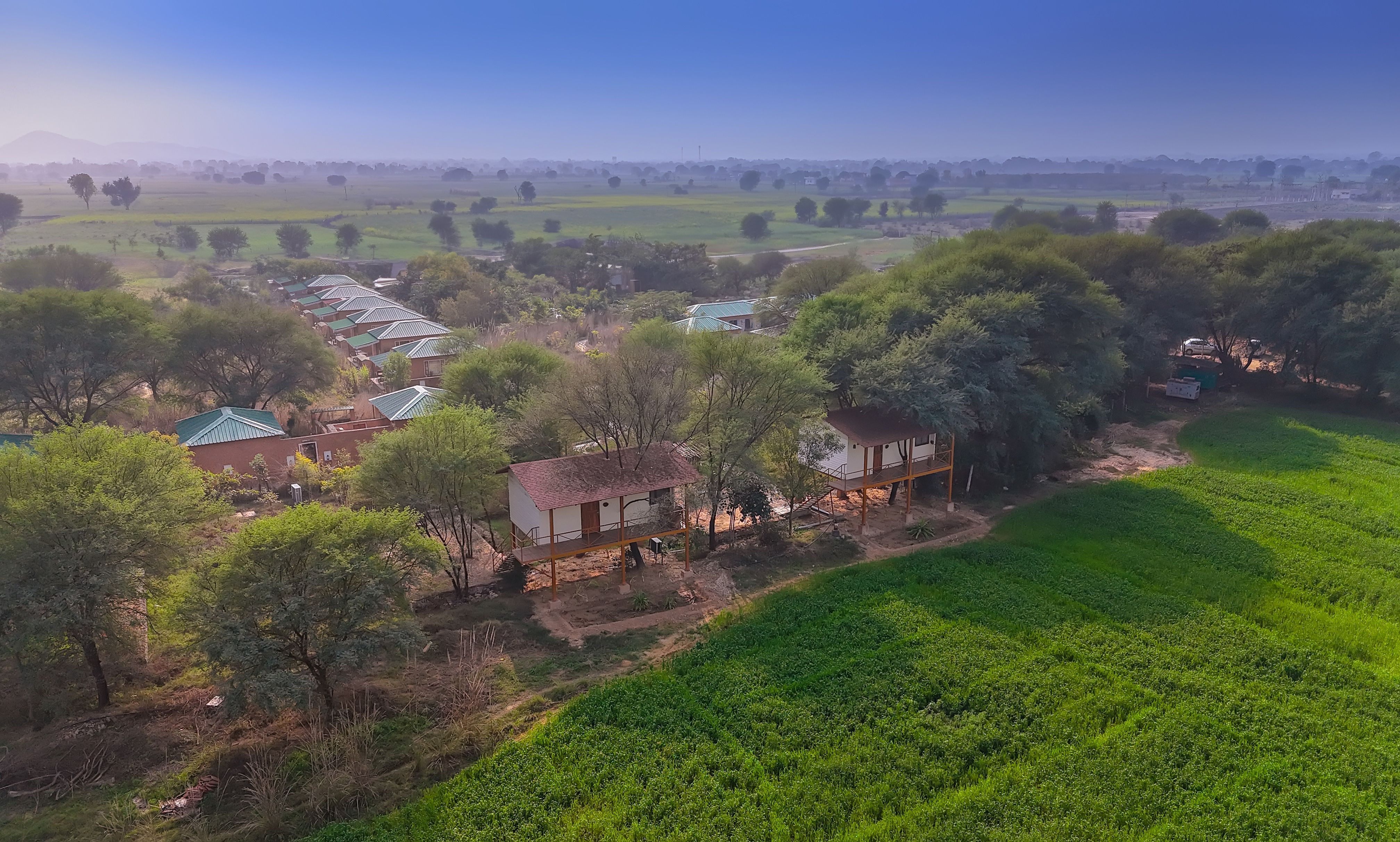 Bagh Serai | Pet-friendly Cottage With Plunge Pool on 5-Acre Land With Common Pool & Restro — photo 5
