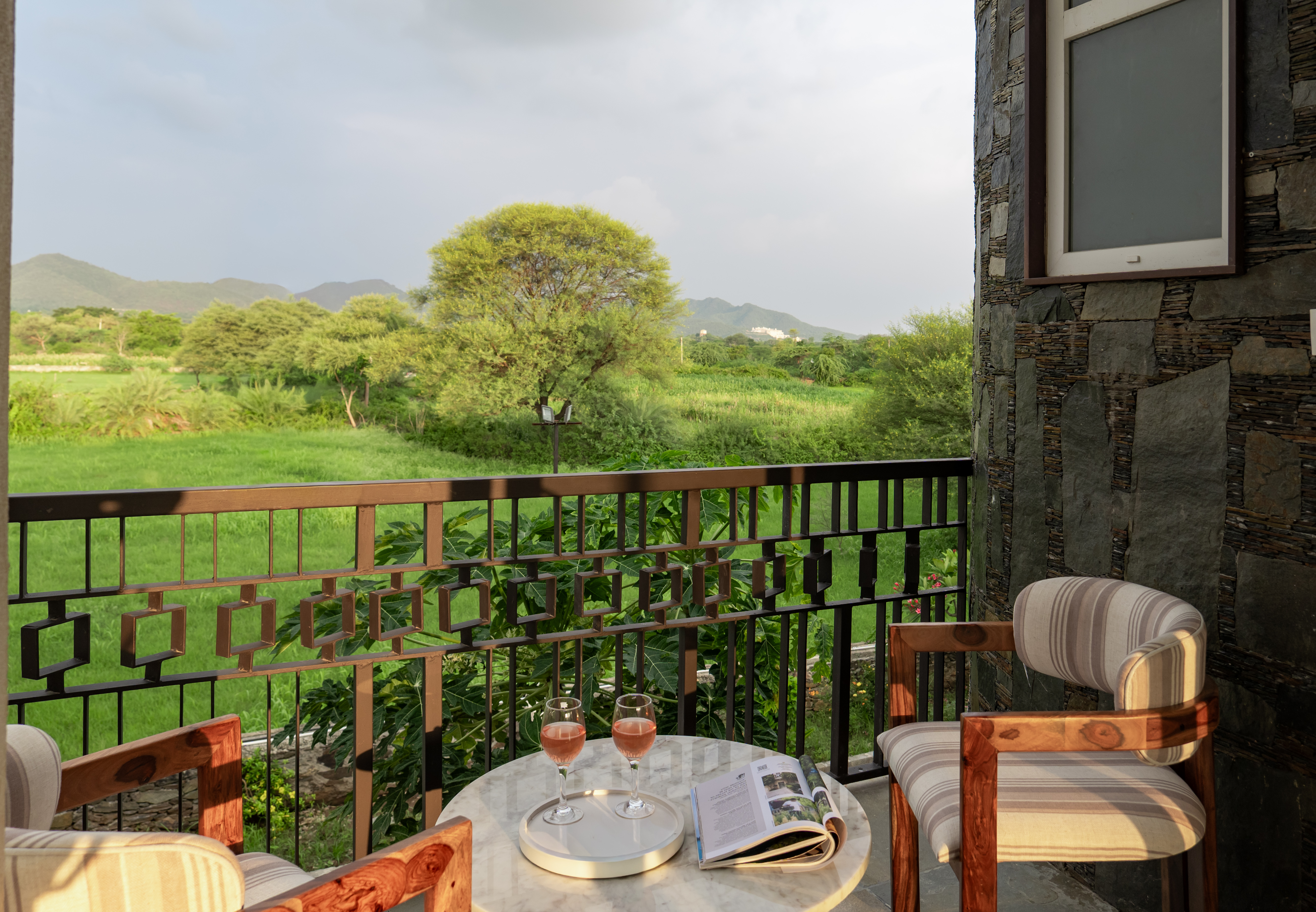 Raj Villas Alvora | Pet-Friendly 1-Room Hotel Suite with Aravalli Hill Views — photo 6