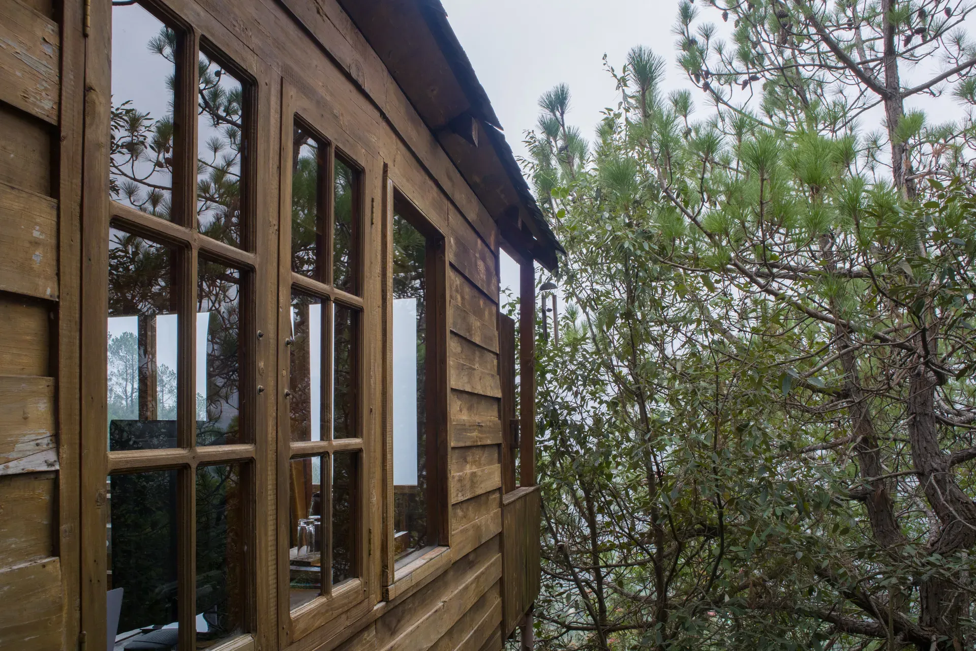 Suro Woodbine Chalet | Pet-friendly Suite With A Balcony, Restaurant & Outdoor Seating — photo 16