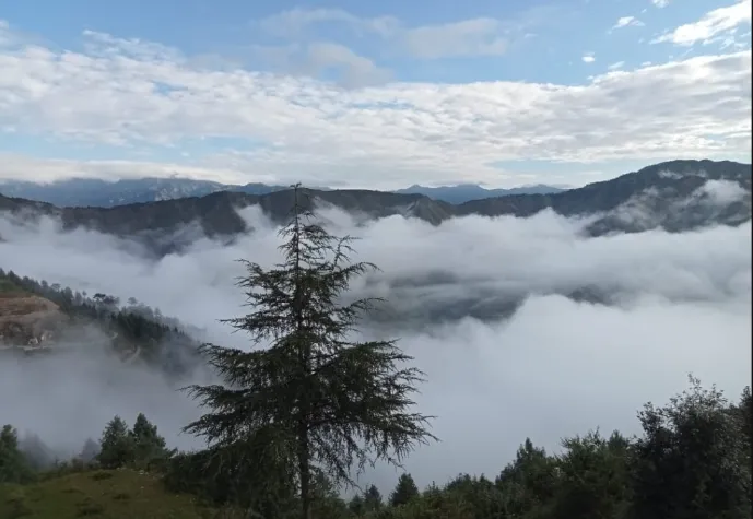 Duplex Cottage Stay in Chakrata Hills — photo 13