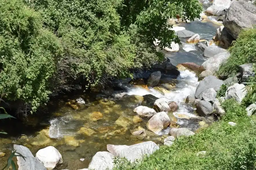 Riverside Homestay with Book Cafe — photo 2